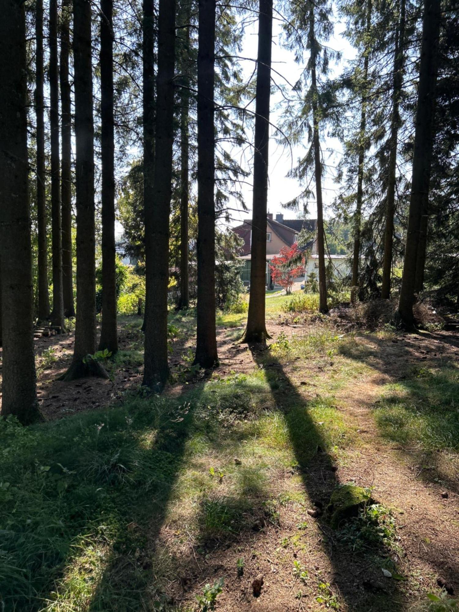 Bergwiesenblick38678 克劳斯塔尔-采勒费尔德 外观 照片